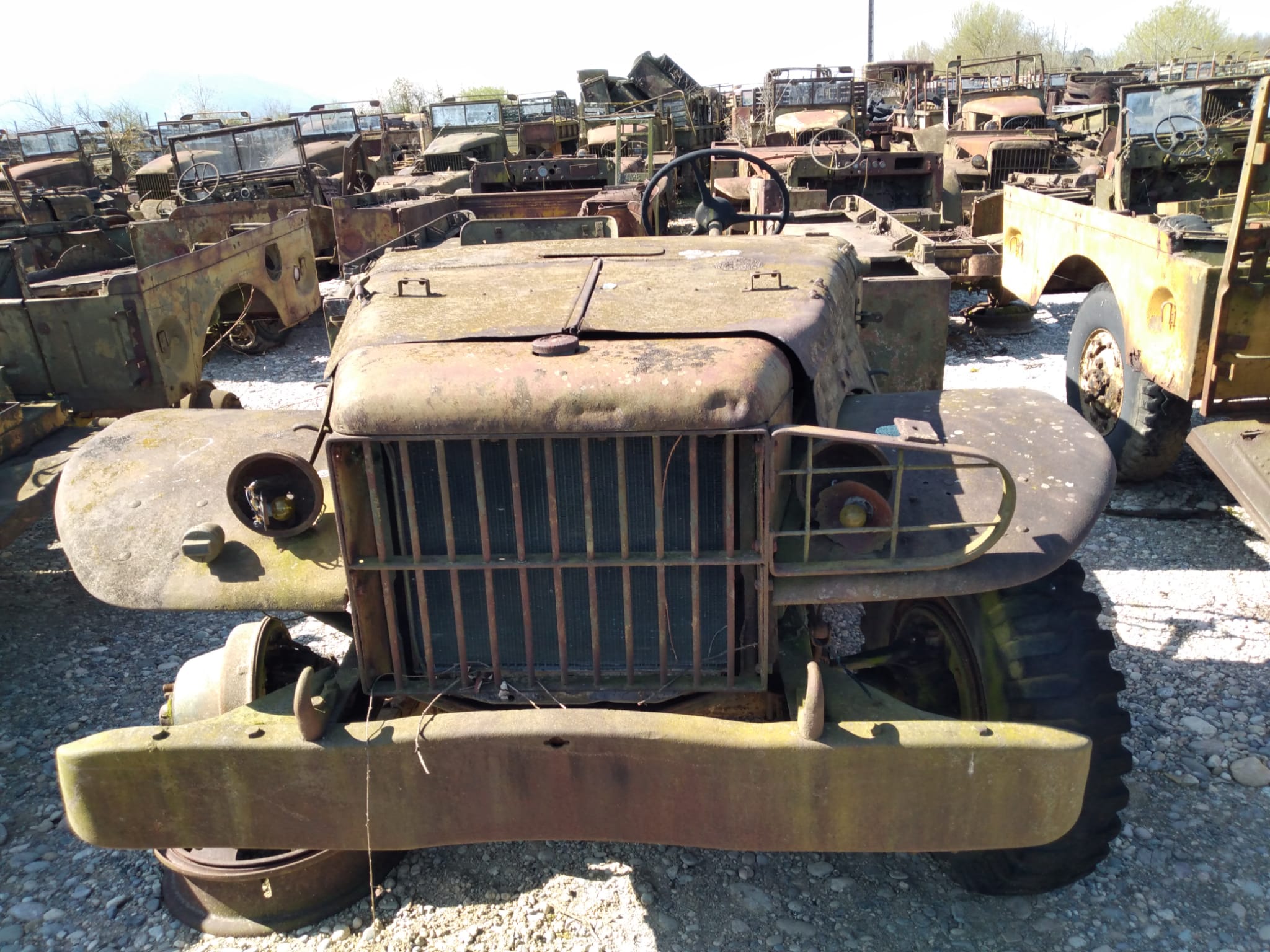 DODGE WC 51